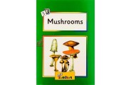 Jolly Readers Mushrooms